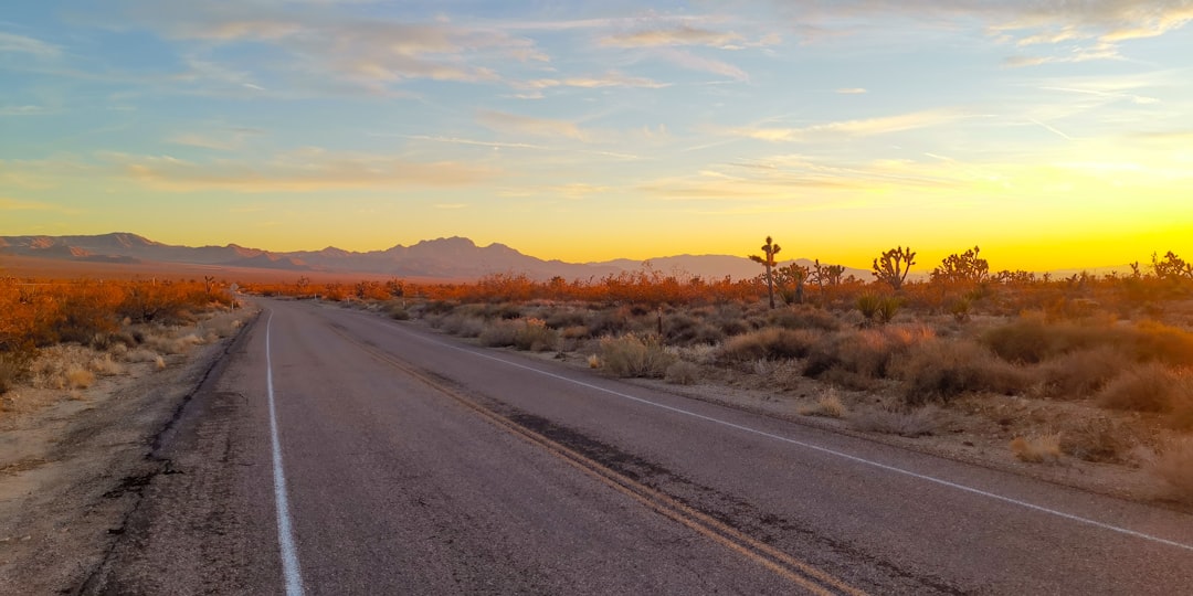 How to Find Drive-In Movies Near You