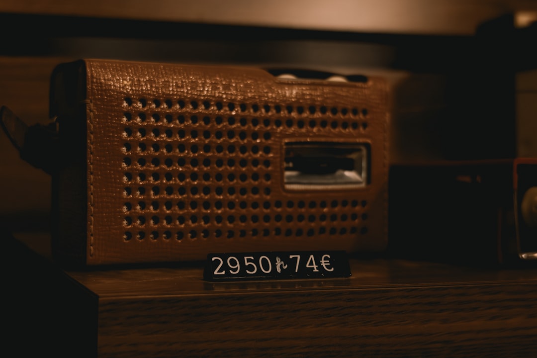 Best Portable FM Radios for Drive-In Movies