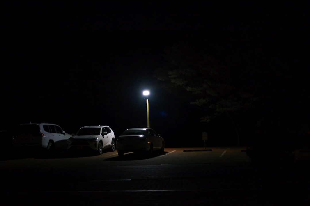 The Unwritten Rules of Drive-In Theater Etiquette